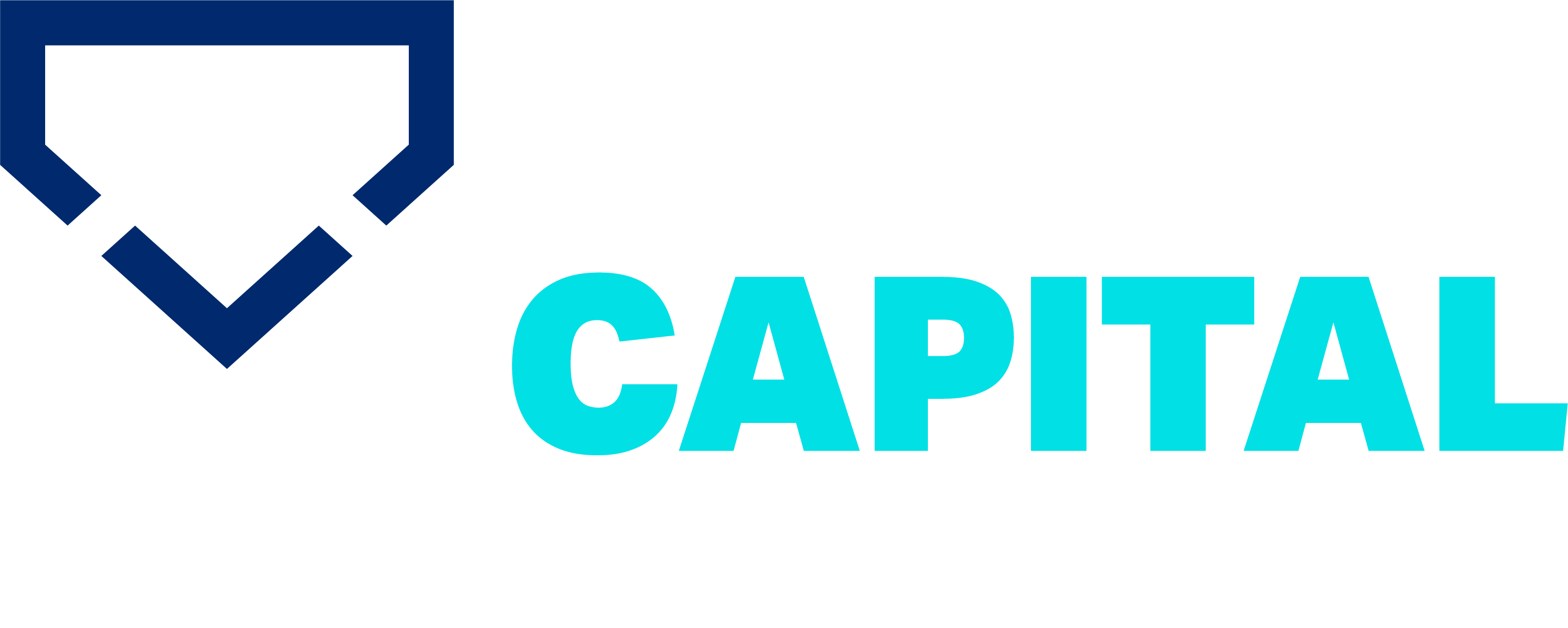 Logo 01